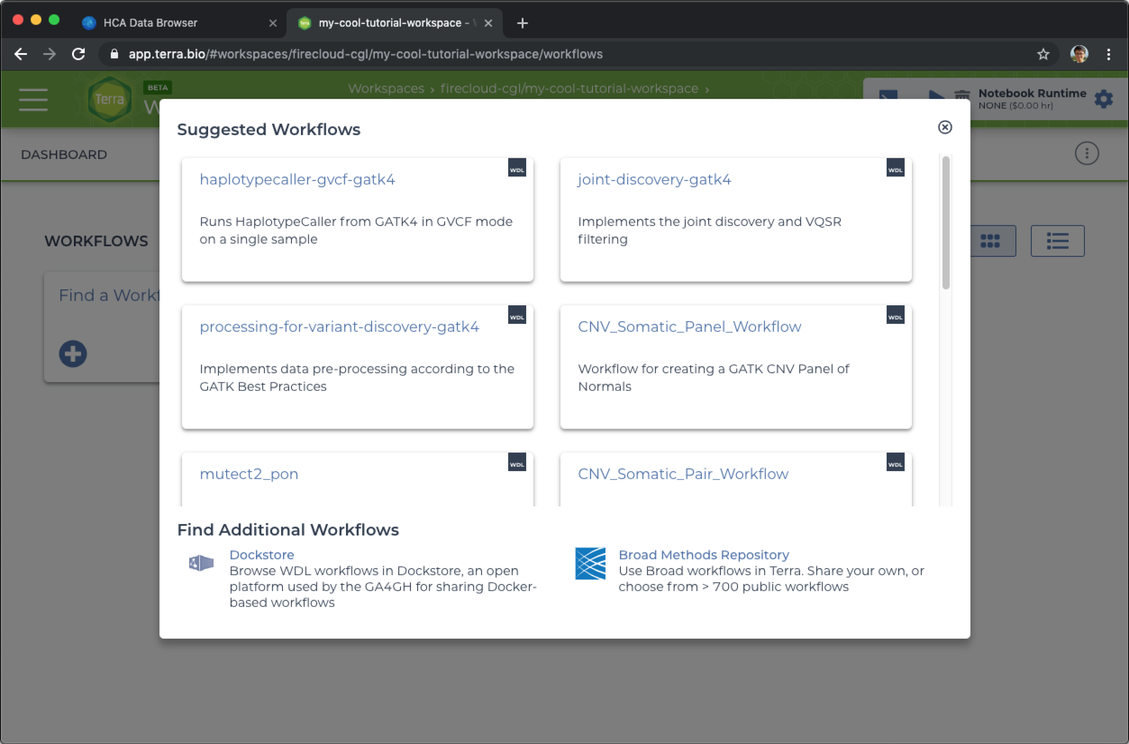 Terra page showing workflows that can be added to workspace