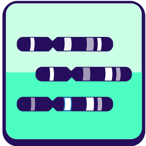 Genetic Diversity Network